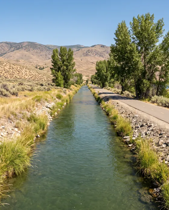 River channel with a paved path under cottonwoods