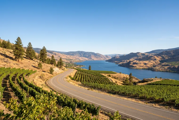 Road through vineyards above a long blue lake